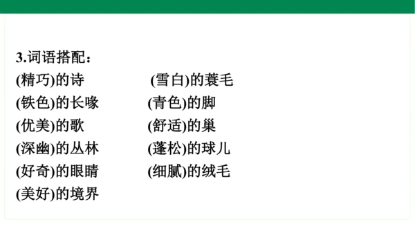 统编版语文五年级上册期中复习单元知识盘点  课件