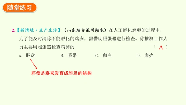 7.1.4鸟的生殖和发育-八年级生物人教版下学期同步精品课件(共24张PPT)