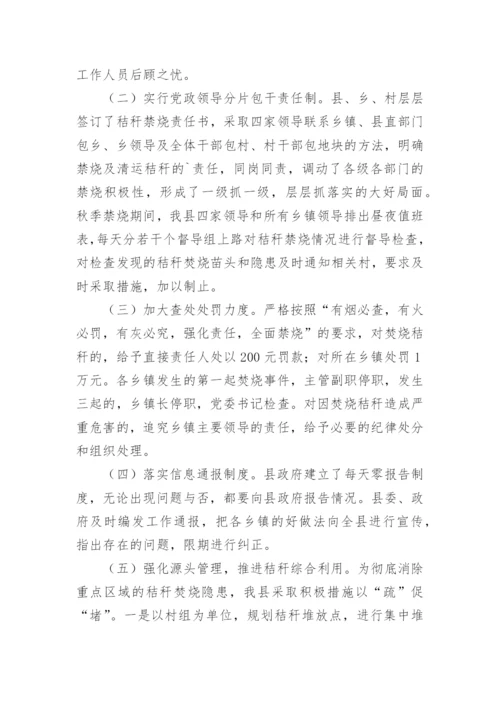 乡镇秸秆禁烧工作总结.docx