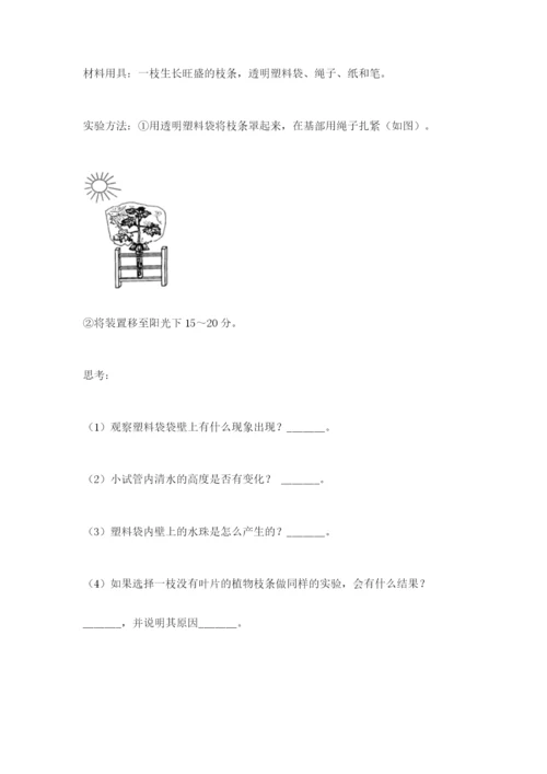 教科版四年级下册科学第一单元《植物的生长变化》测试卷含答案.docx