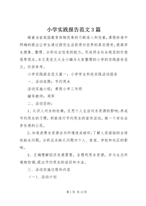 小学实践报告范文3篇.docx