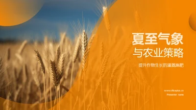 夏至气象与农业策略