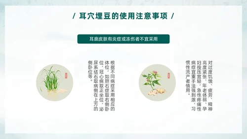 中国风古风水墨中医耳穴埋豆传统理疗操作培训PPT