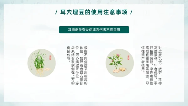 中国风古风水墨中医耳穴埋豆传统理疗操作培训PPT