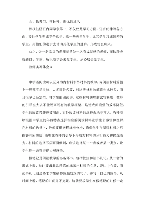 热教师实习体会10篇.docx