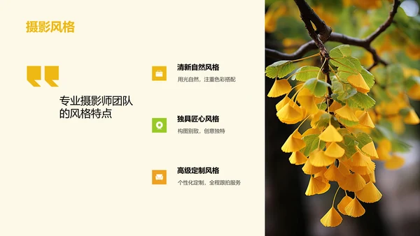 黄色简约婚纱摄影策划PPT模板