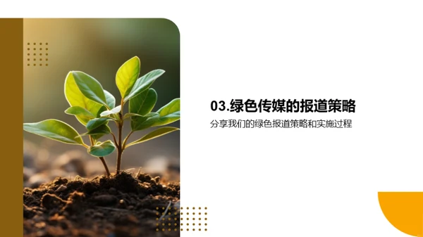 植树节与绿色报道