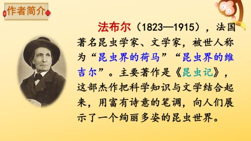 11 蟋蟀的住宅  课件