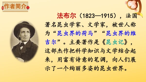 11 蟋蟀的住宅  课件