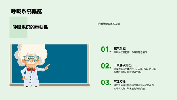 人体生理系统讲解