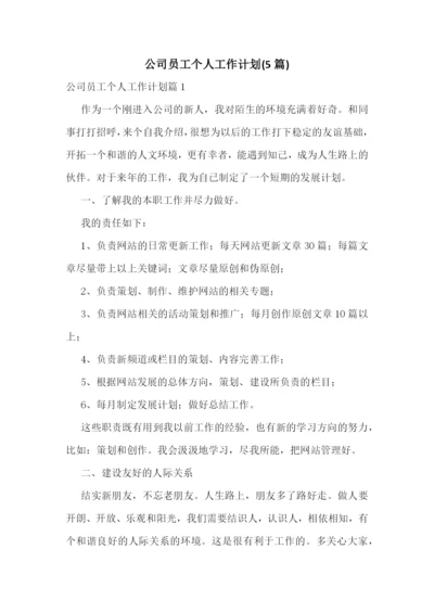 公司员工个人工作计划(5篇).docx