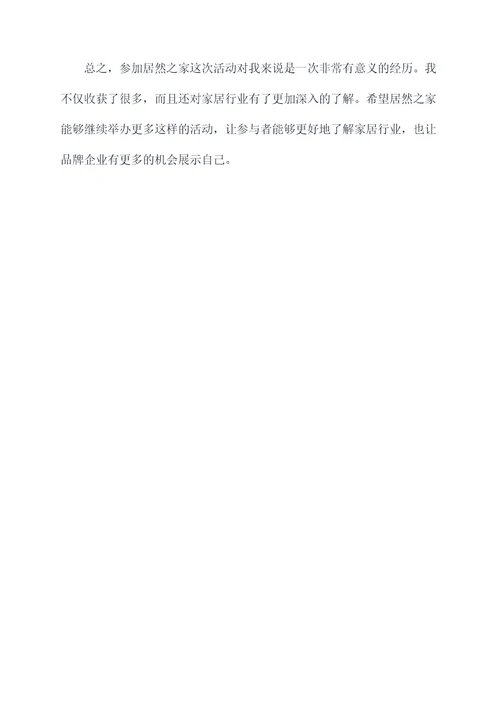 居然之家活动个人总结