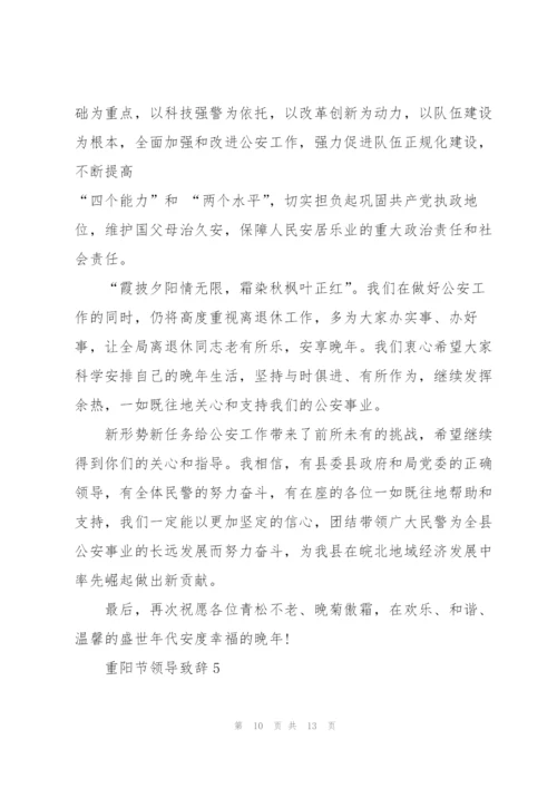 重阳节领导致辞发言.docx