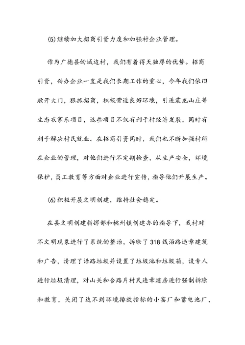 村党支部2019年度工作总结2篇合集