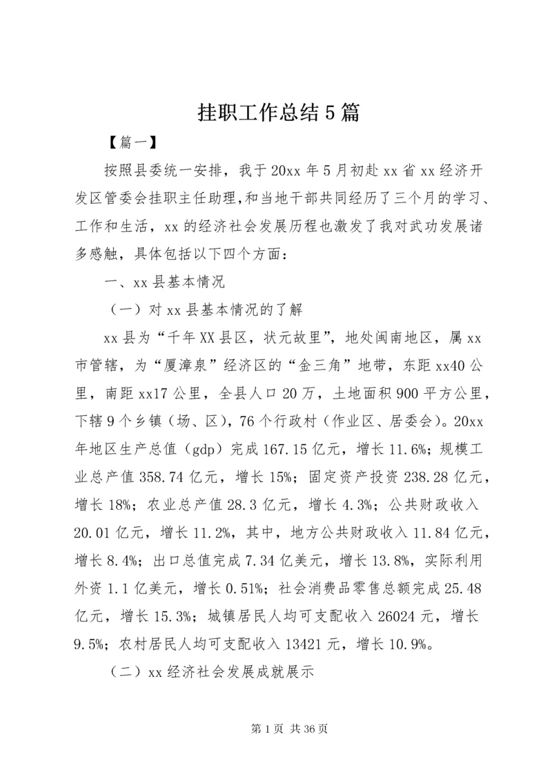 挂职工作总结5篇.docx
