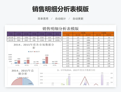 销售明细分析表模版