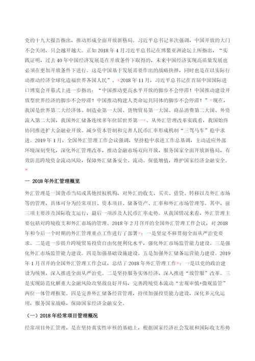 外汇管理报告.docx