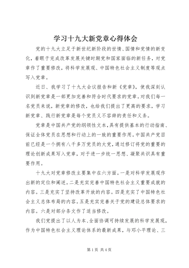 学习十九大新党章心得体会 (5).docx