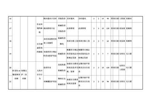 项目风险分级管控实施手册.docx