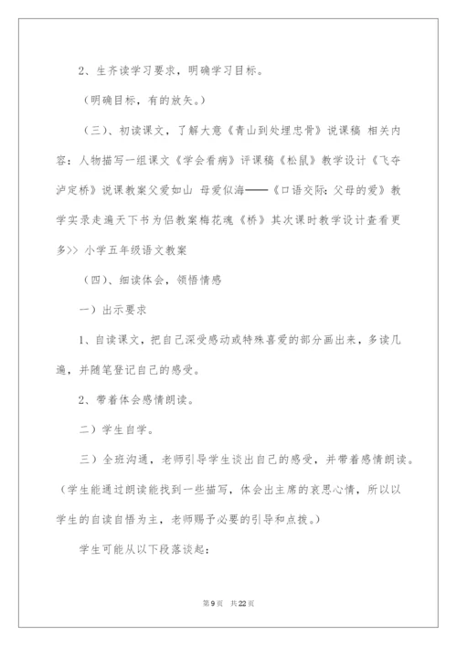 2022《青山处处埋忠骨》说课稿.docx