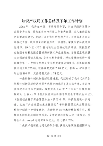 知识产权局工作总结及下年工作计划.docx