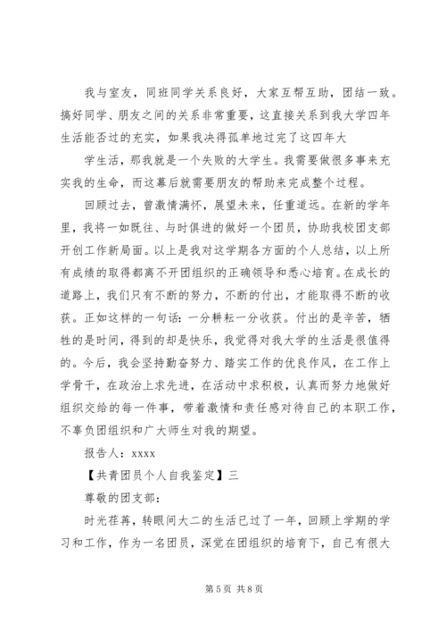 共青团员个人自我鉴定 (2).docx