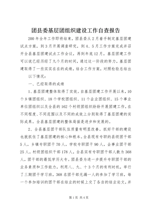 团县委基层团组织建设工作自查报告 (2).docx