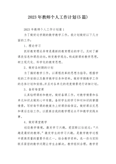 2023年教师个人工作计划(5篇).docx