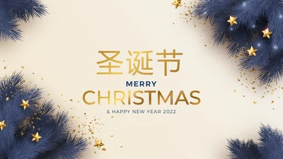 圣诞快乐圣诞节组织活动策划方案PPT