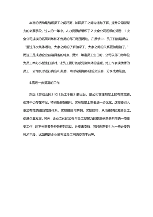 6、人力总监年度人力资源部工作总结与计划.docx