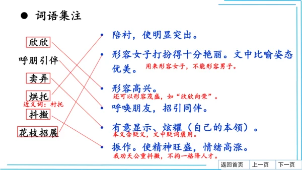 七上语文期中期末复习2_3词语运用每课晨读 课件(共47张PPT)