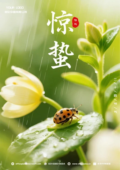 惊蛰二十四节气(雨滴)