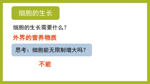 2.2.1细胞通过分裂产生新细胞课件2023--2024学年人教版生物七年级上册(共28张PPT)