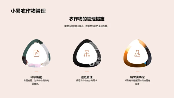 小暑与农业影响