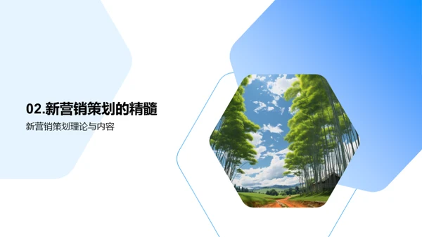 新农村营销策划