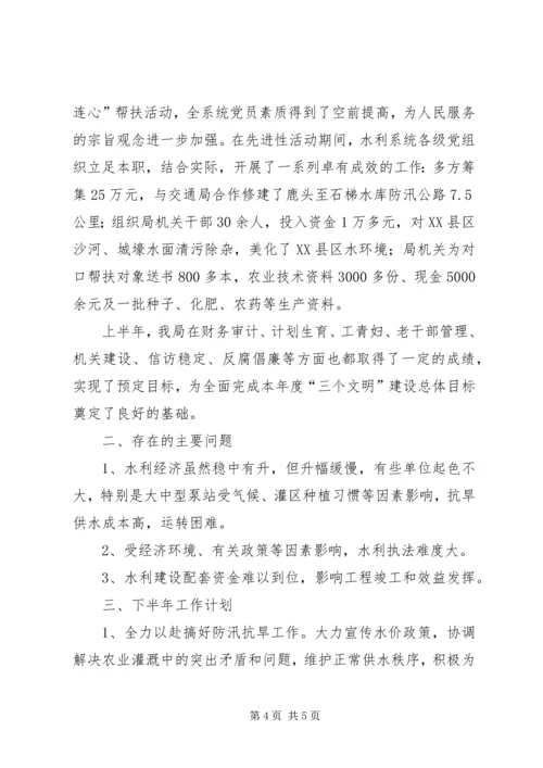 水利局上半年工作总结及下半年工作计划精编.docx