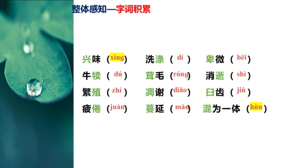 第16课《永久的生命》同步课件