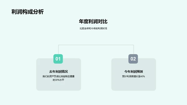 公司发展盘点与展望