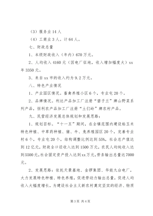 乡镇经济发展战略调研报告.docx