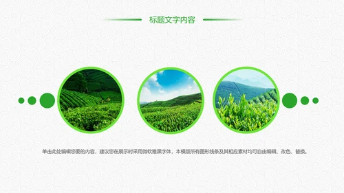 绿色唯美清新茶园文化茶艺品茶论道PPT模板