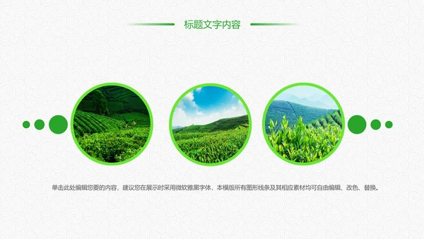 绿色唯美清新茶园文化茶艺品茶论道PPT模板