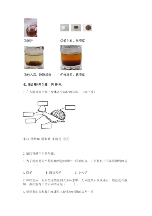 教科版小学科学一年级下册期末测试卷a4版.docx