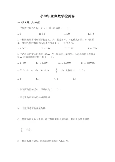 小学毕业班数学检测卷（考点梳理）.docx
