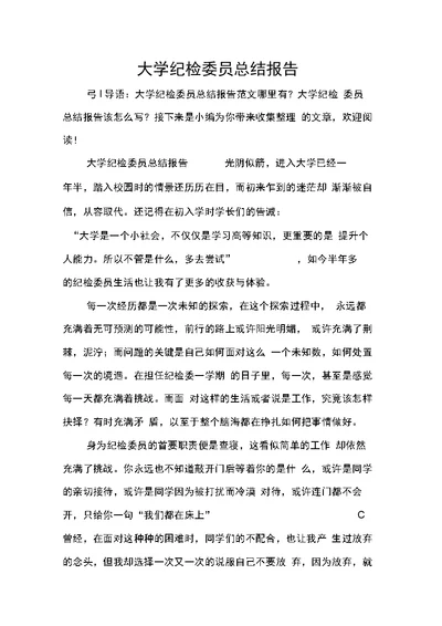 大学纪检委员总结报告