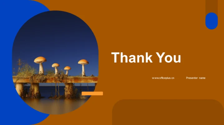 食用菌市场：全面解析