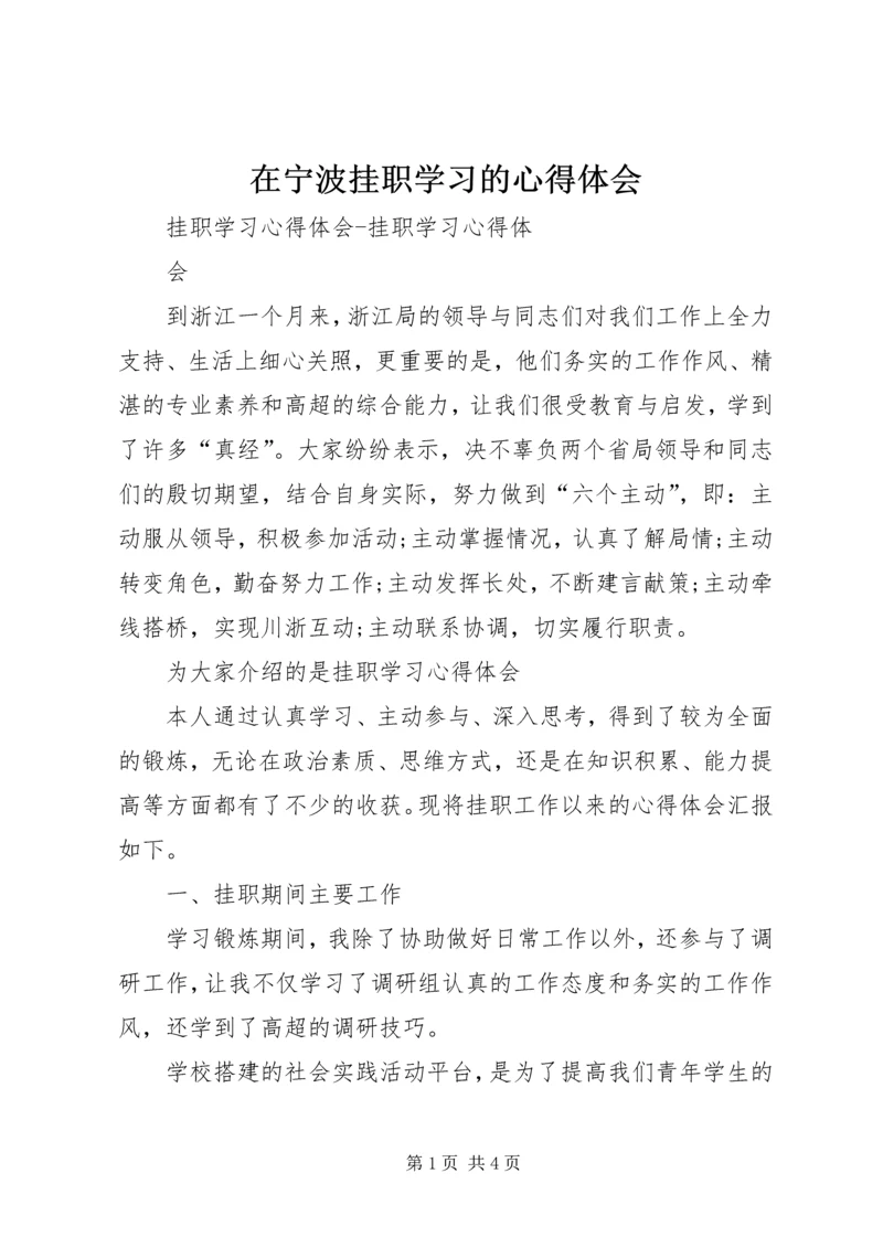 在宁波挂职学习的心得体会 (2).docx