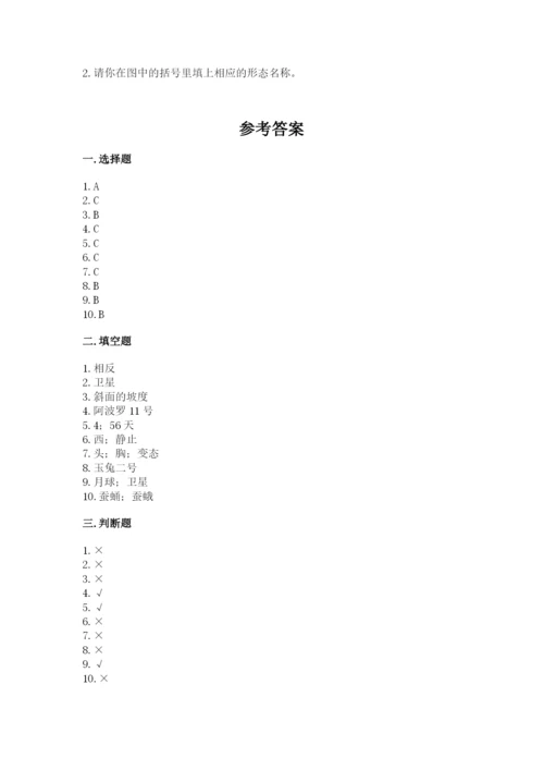 教科版科学三年级下册期末测试卷【考点梳理】.docx