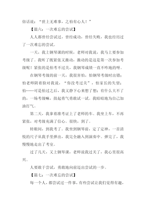 一次难忘的尝试作文300字.docx