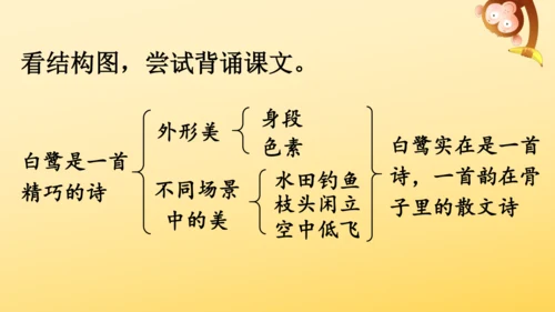 1 白鹭   课件