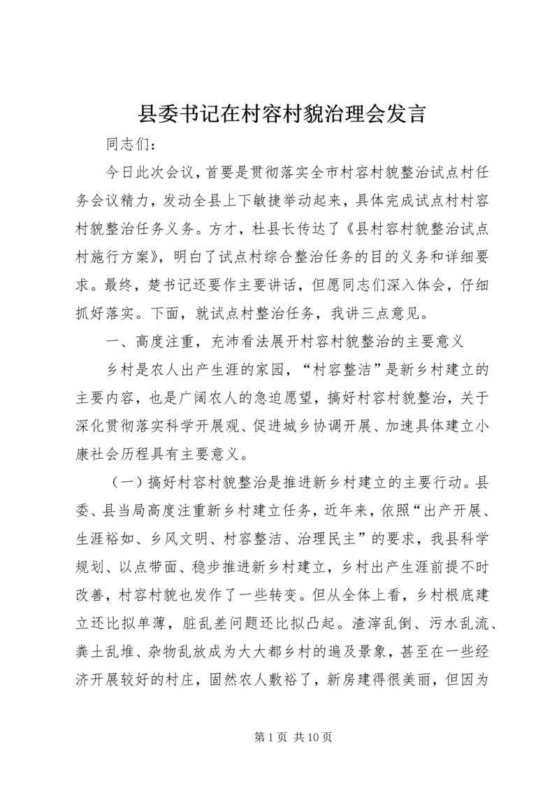 县委书记在村容村貌治理会发言.docx